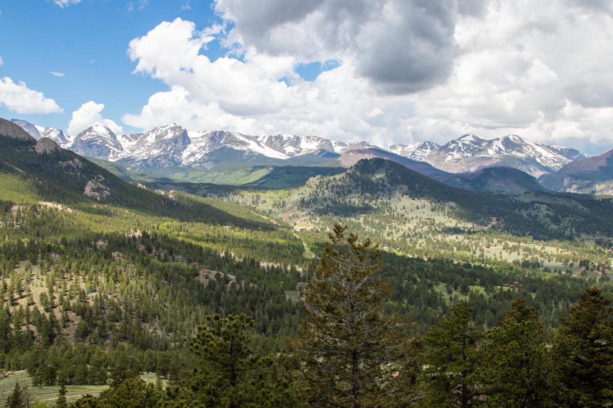 Casa De Cristal-Epic Views-Hottub-Sauna-Sleeps 10-Luxury Linens-Stocked Kitchen Estes Park Exteriör bild